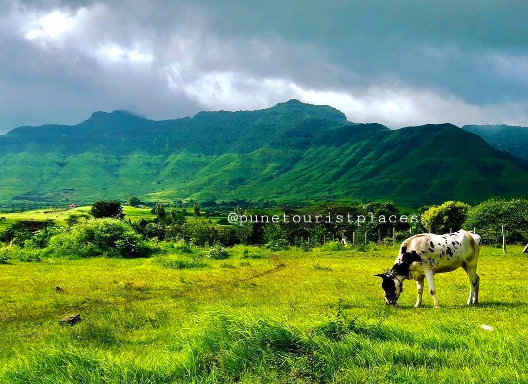 Purandar Fort: A Majestic Hill Fort in Maharashtra, India